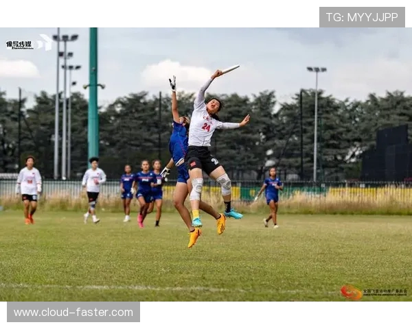赛后分析：北京飞盘队与南京飞盘队的实力对决与战术较量